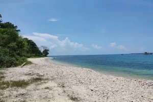 Panjang Island, an Exotic Island with Amazing Natural Views in Jepara