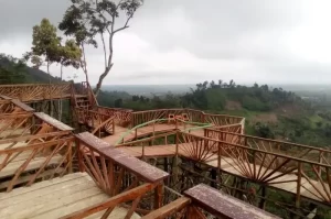 Natural Tourism in Langkat