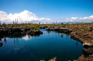 Exotic Islands in Ecuador You Must Visit for an Unforgettable Adventure